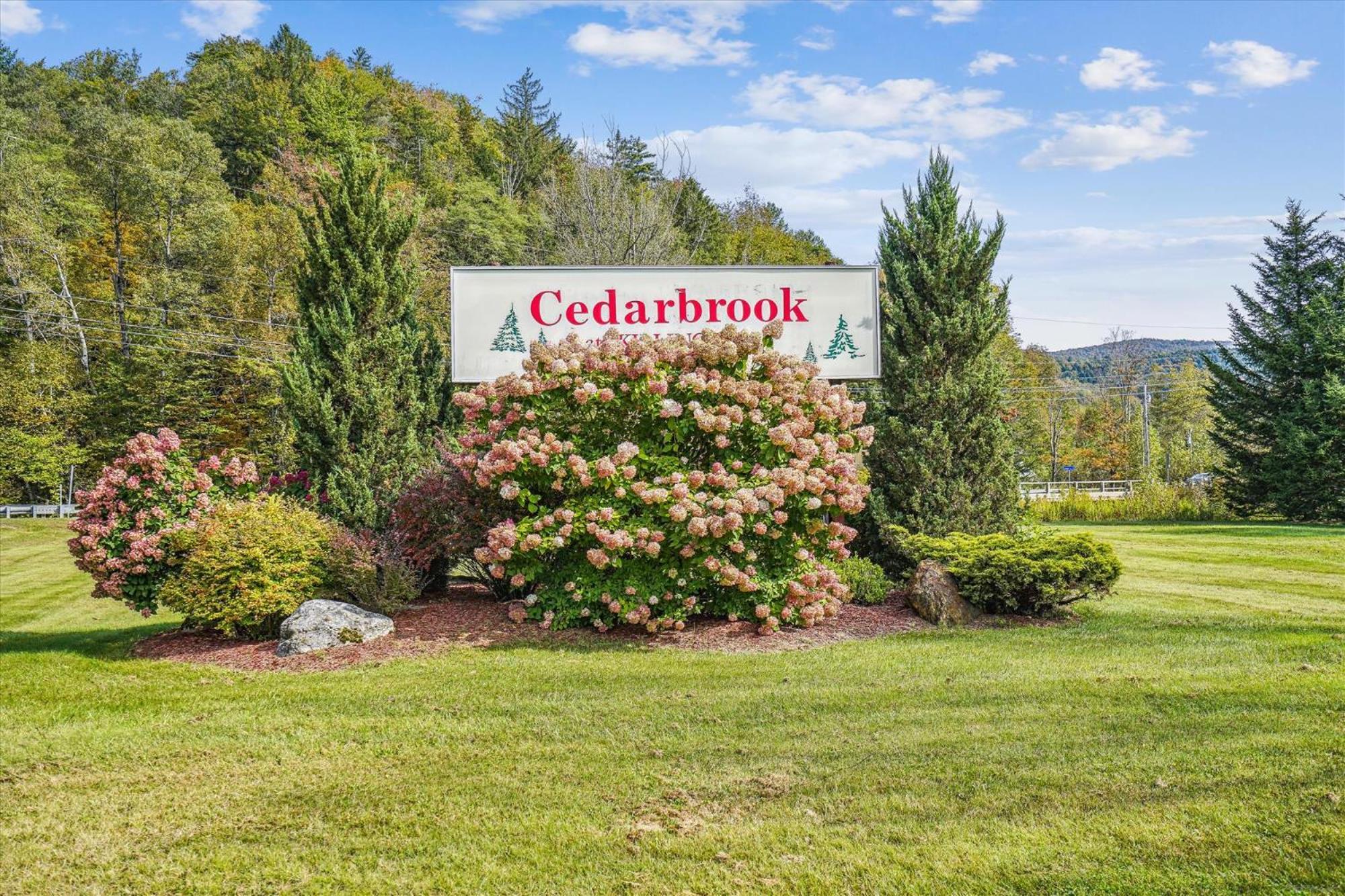 Cedarbrook Queen Suite 108 Кіллінгтон Екстер'єр фото